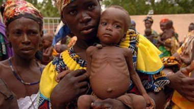 Un milliard d'êtres humains souffrent de la faim