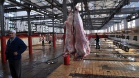 فوضى ومناوشات بمذبح الحراش والمجلس الولائي يعد بالحلول