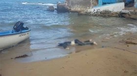 أمواج البحر تلفظ جثث 3 “حراقة” بينهم امرأة بوهران