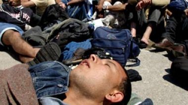 A one-year program to help Algerian illegal immigrants start a brighter life in Algeria