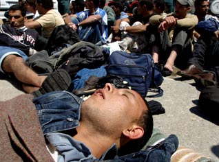 A one-year program to help Algerian illegal immigrants start a brighter life in Algeria