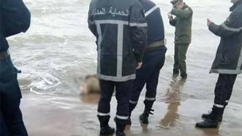 العثور على جثّة ثالثة بشاطئ مجذوب في مستغانم