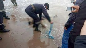 “سأرحل بلا رجعة.. وهاتفي لتكاليف وليمة عزائي”!