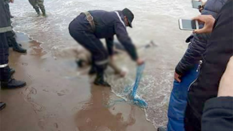 “سأرحل بلا رجعة.. وهاتفي لتكاليف وليمة عزائي”!