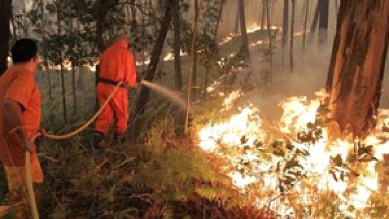 شبكة اتصال عن طريق الراديو والساتل لمكافحة حرائق الغابات