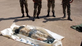 مصالح صحية في إسبانيا سرقت أعضاء بشرية من جثث الحراقة