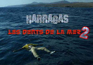 Douze immigrés clandestins noyés dans un naufrage entre la Libye et  l'Italie