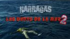 Des algériens périssent  dans le naufrage d’un  bateau transportant 150  Immigrés clandestins de Libye vers  l'Italie