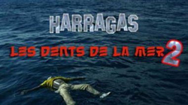 Algérie: onze candidats à l'émigration arrêtés dans l'est