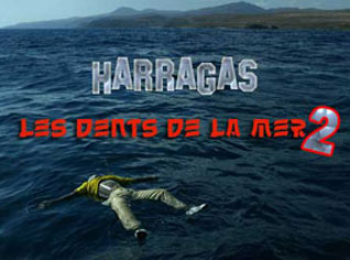 Algérie: onze candidats à l'émigration arrêtés dans l'est