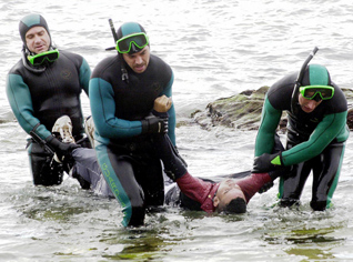 Algerians among 150 illegal immigrants stuck in sea