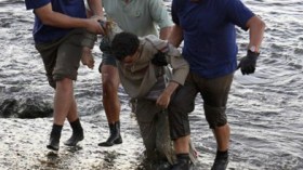 توقيف 129 امرأة حراقة خلال سنة 2008