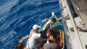 Seven illegal immigrants arrested west of Algeria
