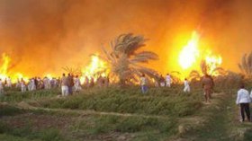 مصر: حريق هائل يلتهم قرية بأكملها