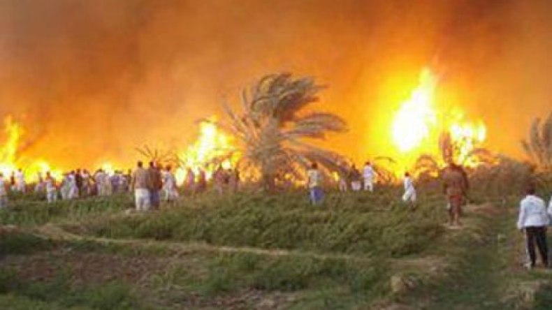 مصر: حريق هائل يلتهم قرية بأكملها