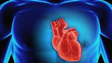 Algerian hospitals count 80.000 heart attacks annually