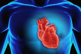 Algerian hospitals count 80.000 heart attacks annually