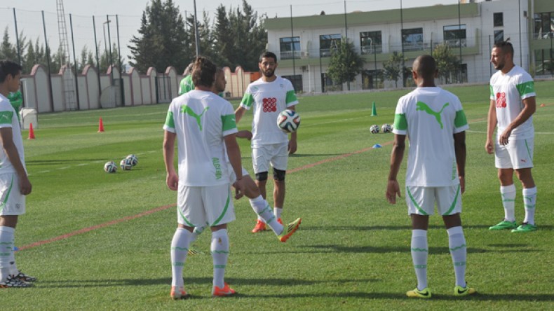 قديورة الأقرب إلى المغادرة وبلكالام وحليش يحظيان بثقة المدرب