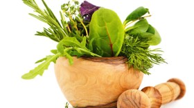 رجاء الشفاء..مرضى يتعلقون بالأعشاب و يشربون ماءها!