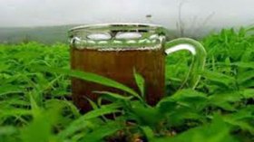 “شراب أعشاب” جائزة اللاعب المسلم في البطولة الانجليزية