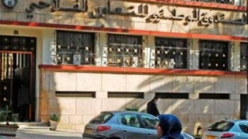 20 حصة مجانية من رأس المال للراغبات في الاشتراك