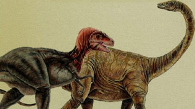 اكتشاف آثار ديناصورات جديدة  بالبيض  يقدر عمرها بمائة مليون سنة