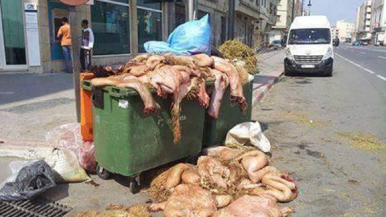مخلفات العيد تحول مدن وقرى بتيزي وزو إلى مفرغات عمومية