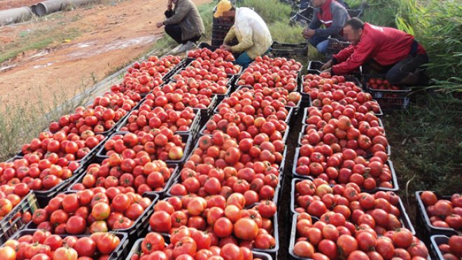 نأمل أن تواصل الدولة دعم المشاريع الفلاحية بلا تقشف