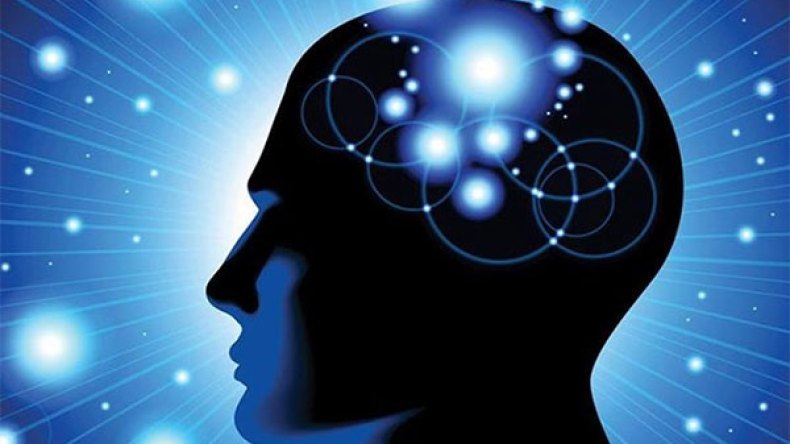 الذّهن المهاجر في عالمنا العربي والإسلامي