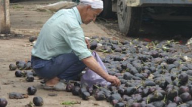 Les pensions des handicapés haussées à 3 mille dinars par mois