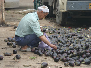 Les pensions des handicapés haussées à 3 mille dinars par mois