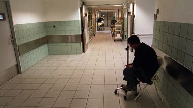 Algeria: how embryos are implanted and choosing sex is forbidden