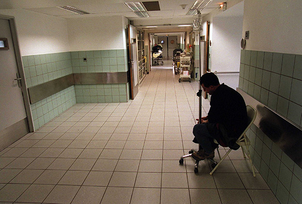 Algeria: how embryos are implanted and choosing sex is forbidden