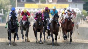 Big Brown cruises to Preakness victory
