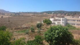 اكتشاف 6 هياكل عظمية في أرض فلاحية بقالمة!