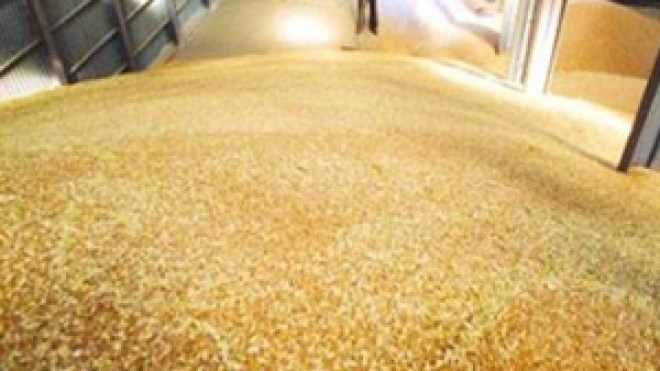 عمال ديوان الحبوب يمهلون الإدارة 10 أيام قبل شن الإضراب