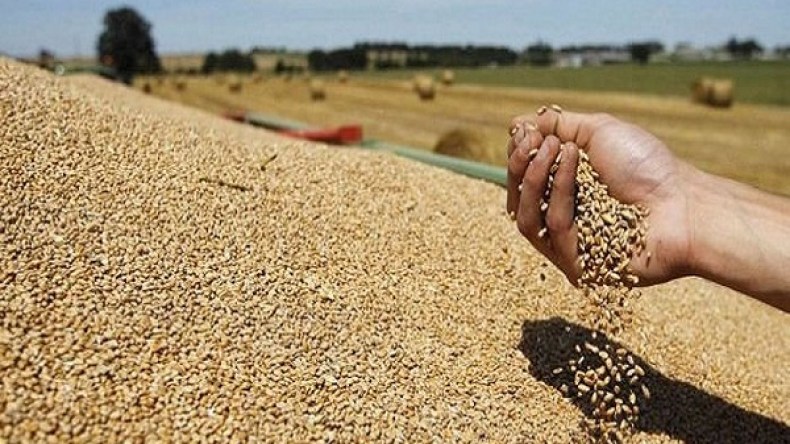 الجزائر تحتاط بمخزون استراتيجي من الحبوب