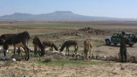 “ڤريندايزر” لمطاردة المهربين وتأمين الحدود البرية