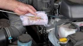 زيوت محركات مغشوشة تغرق أسواق العاصمة