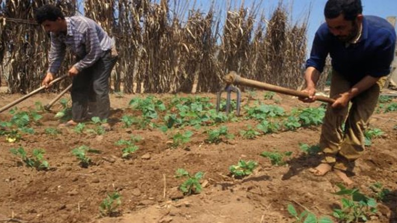 “التويزة” تقاوم العولمة وتؤكد صمودها وسط المجتمع الأوراسي