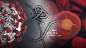 7 أوبئة هددت الحياة البشرية على مدار التاريخ