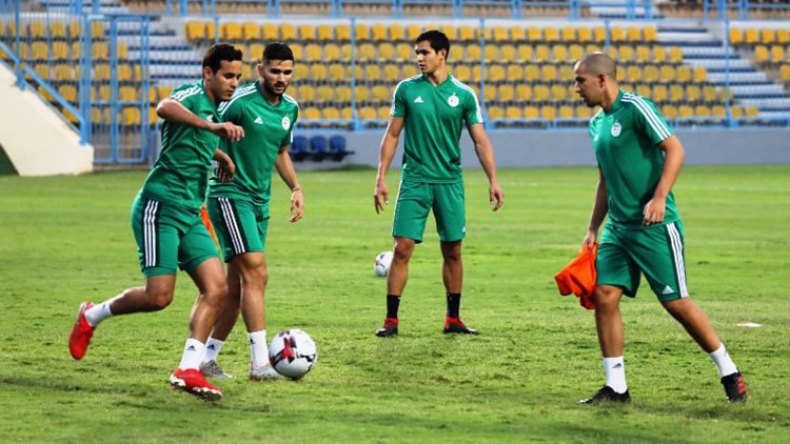 لا خوف على فيغولي