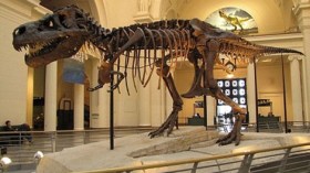 إكتشاف هيكل ديناصور على الحدود الجزائرية المغربية