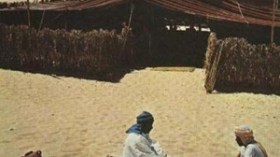 المجاعة تضرب سكان منطقتي” أونان” و”أنهف” بإيليزي