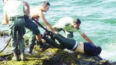 187 Algerian illegal immigrants died off Italian coasts since 2004