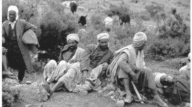 Algeria counts six million illiterate