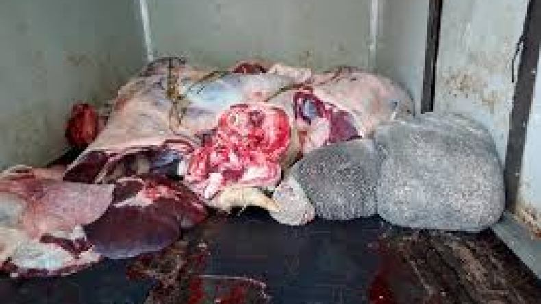 حجز 8 قناطير من الأحشاء الفاسدة في المسيلة