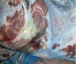 Mouton de l’Aïd : Une viande moisie, verdâtre et odeur fétide