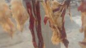 قديد‭ ‬وبيت‭ ‬من‭ ‬الشعر‭ ‬وأعشاب‭ ‬برية‭ ‬لصنع‭ ‬التوابل