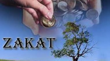 Zakat Funds Collect 15 Million Euros in 2011, Official